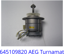 645109820 AEG Turnamat